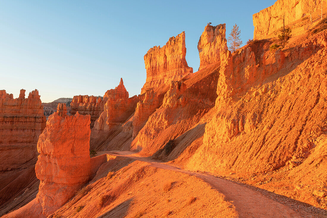 Navajo Loop trail at sunrise. Sunrise Point, Bryce Canyon National Park,, Utah