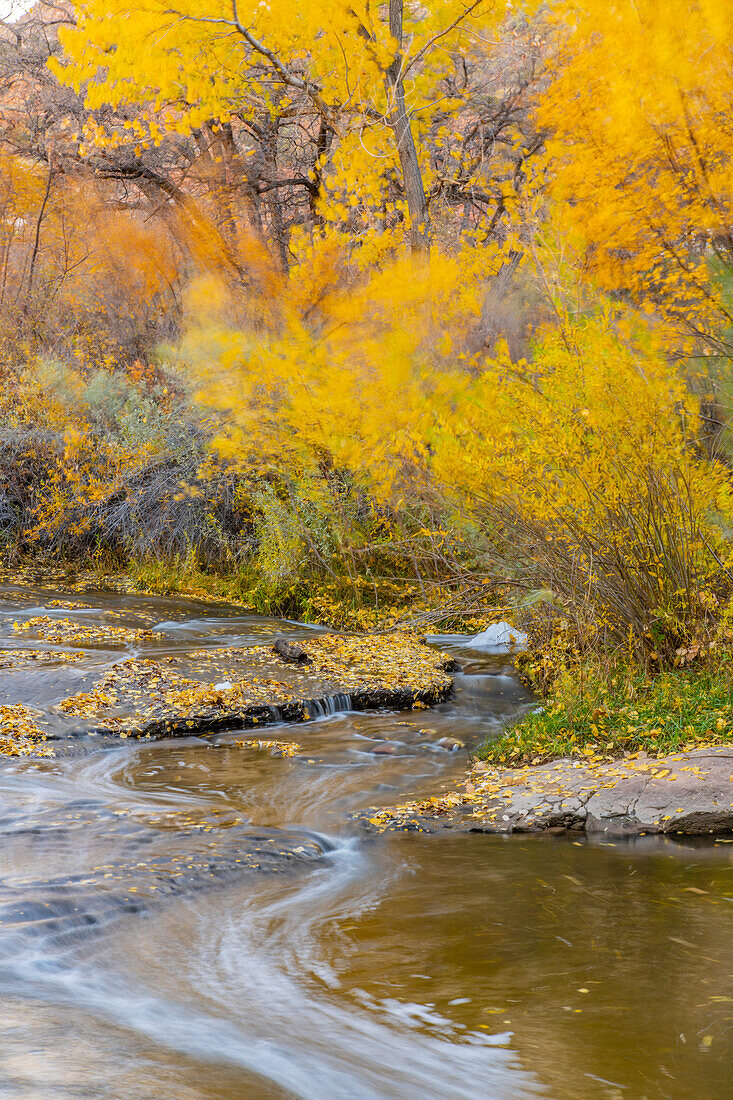USA, Utah, Calf Creek Recreation Area in autumn.