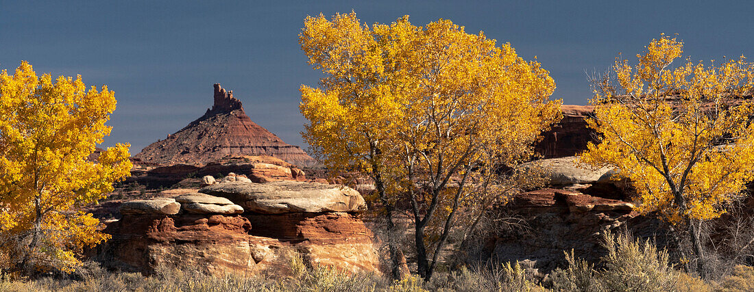 USA, Utah. Autumn panoramic, Needles District of Canyonlands National Park.