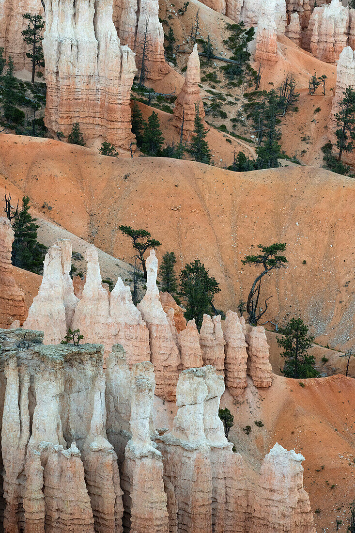 USA, Utah. Orange and white hoodoos, Bryce Canyon National Park.