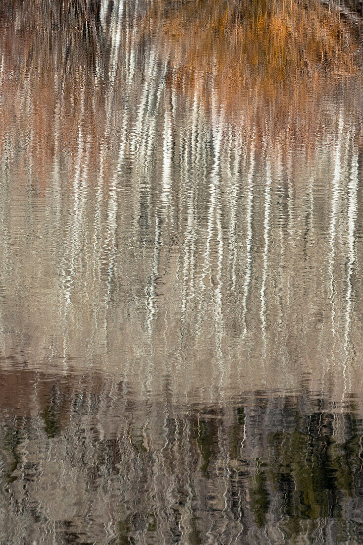 USA, Utah. Reflections on Warner Lake, Manti-La Sal National Forest.