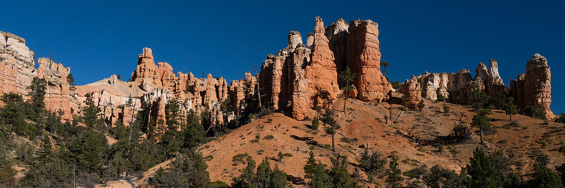 USA, Utah. Panoramic of pinyon, ponderosa pine, and orange and white hoodoos, Bryce Canyon National Park.