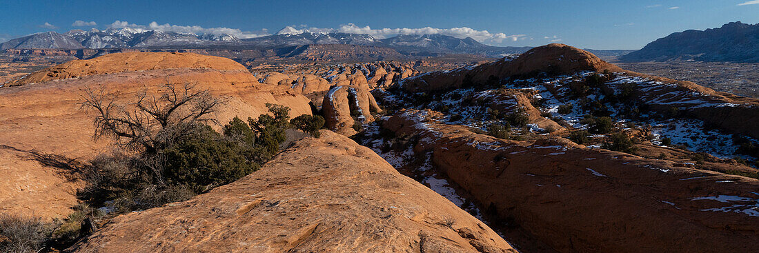USA, Utah. Vista of sandstone formations in the Sand Flats Recreation Area with La Sal Mountain Range in the background, near Moab.