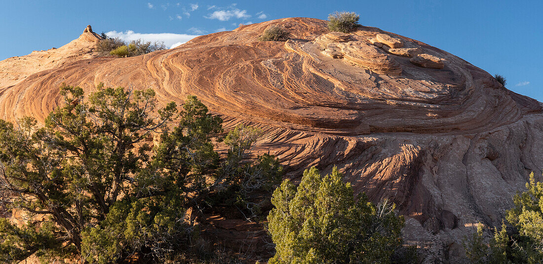 USA, Utah. Sandstone geological formations, Sand Flats Recreation Area, near Moab.