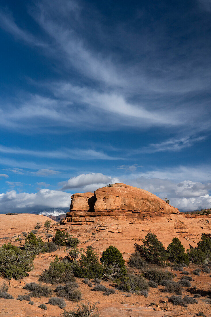 USA, Utah. Sandstone geological formations, Sand Flats Recreation Area, near Moab.