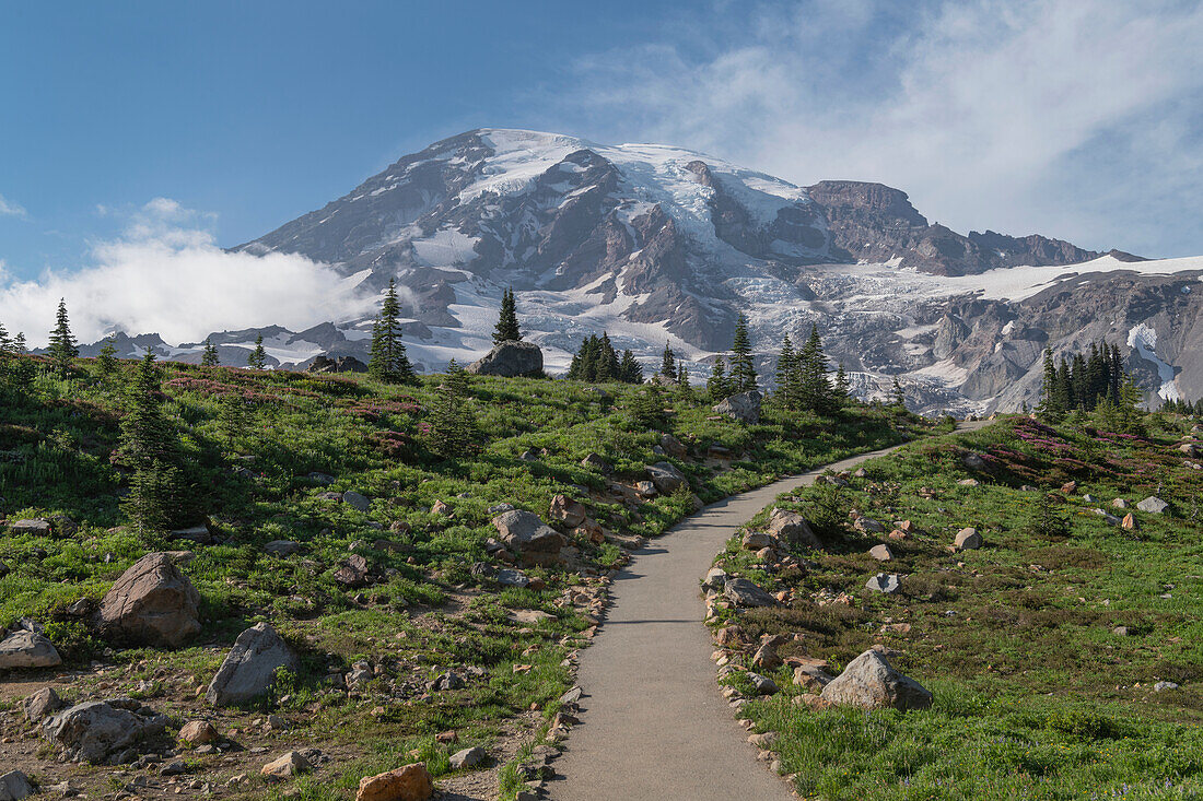 Paved section of Skyline Trail. Paradise wildflower meadows Mount Rainier National Park