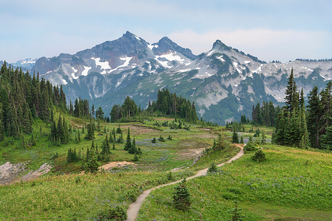 Tatoosh Range und Skyline Trail, Mount Rainier National Park, Washington State