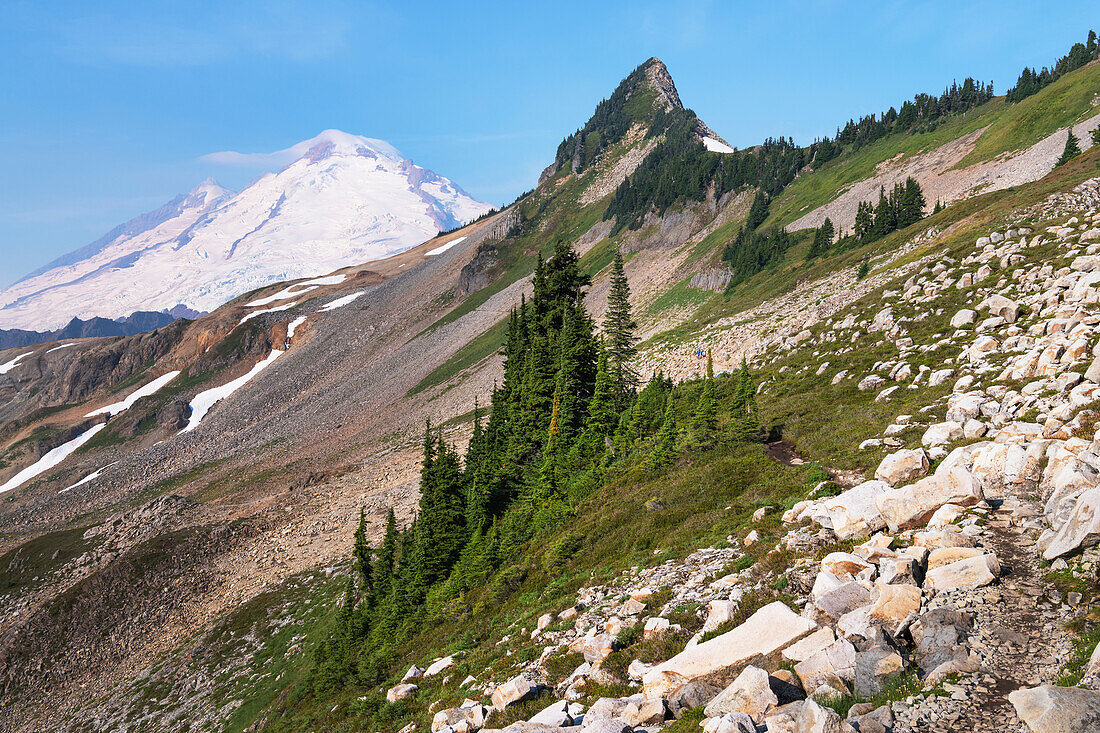Mount Baker und Coleman Pinnacle vom Ptarmigan Ridge Trail aus gesehen Mount Baker Wilderness, North Cascades, Washington State