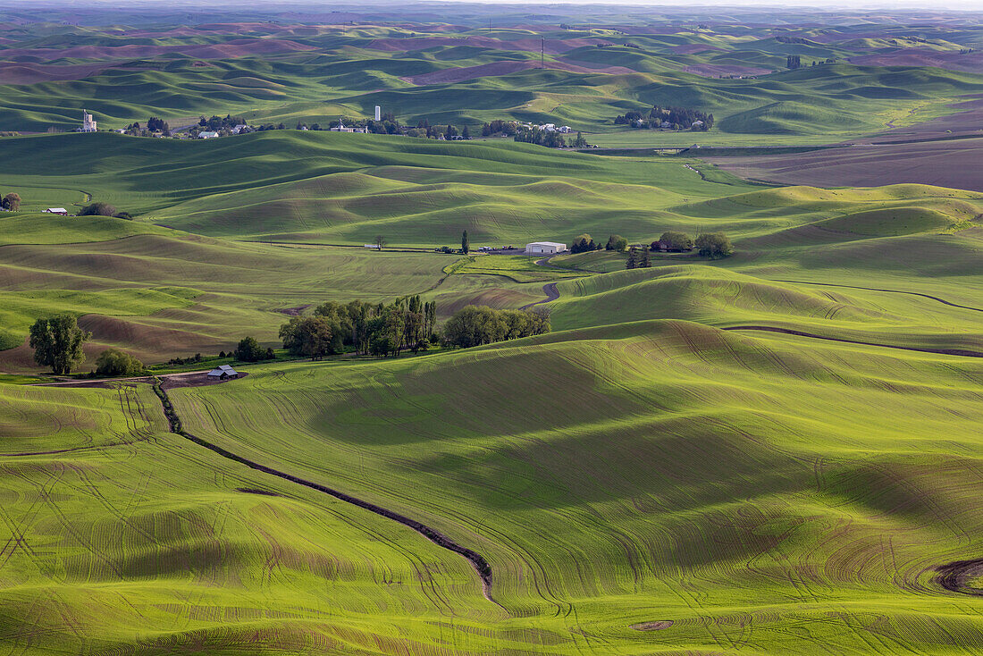 Small town of Steptoe from Steptoe Butte near Colfax, Washington State, USA
