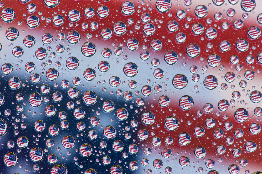 USA, Washington State, Sammamish. American Flag reflections in dew drops