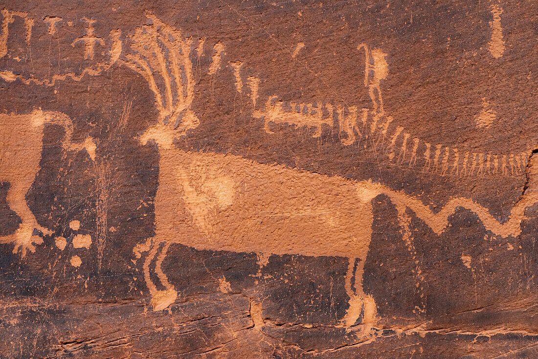 USA, Utah. Procession Petroglyph Panel, detail, Bears Ears National Monument.