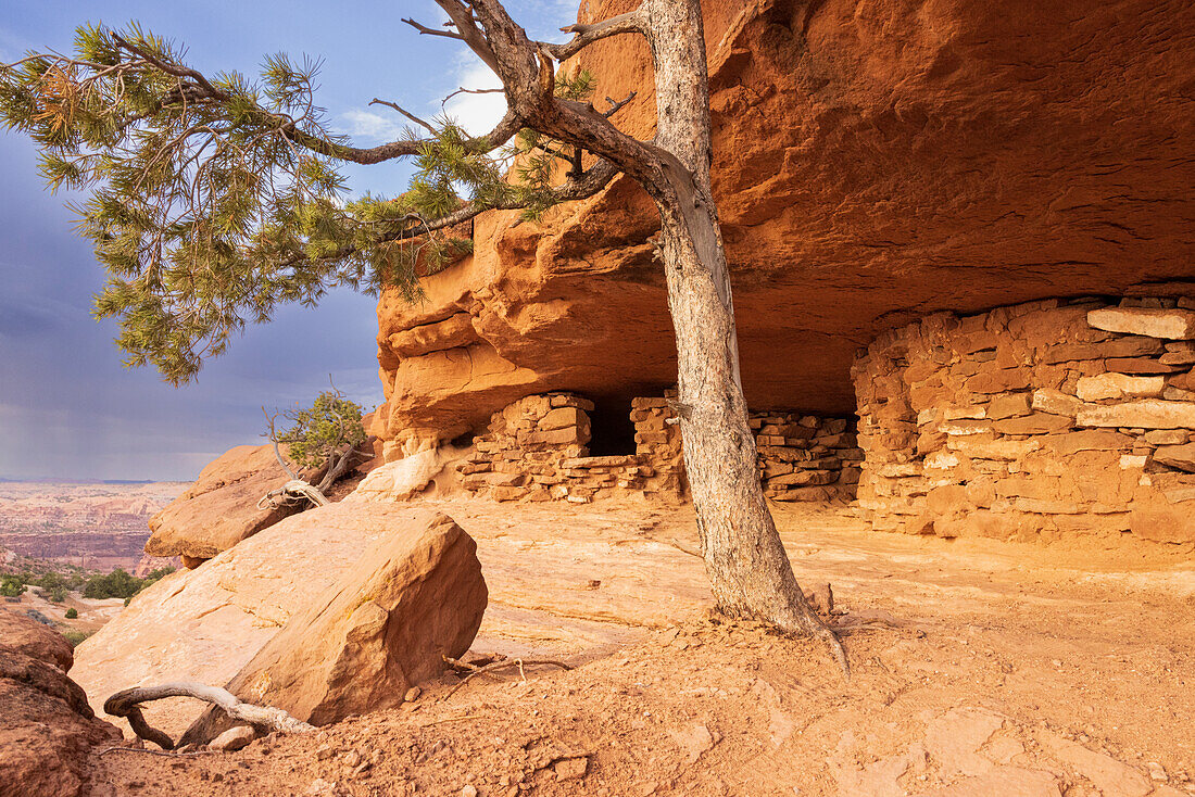 Aztec Butte. Kornkammern. Utah, USA.