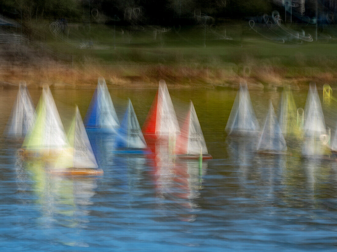 Usa, Washington State, Renton. Model yacht club remote control sailboats at Gene Coulon Park on Lake Washington.