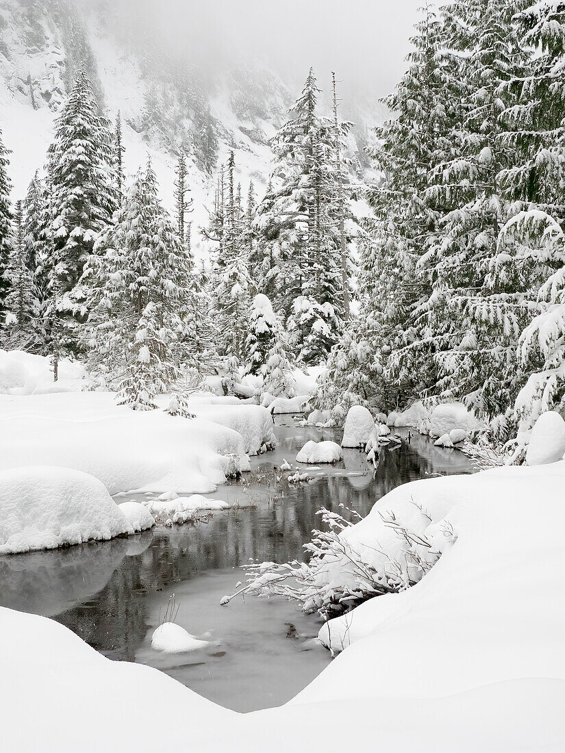 Washington State, Central Cascades. Granite Creek winter scene