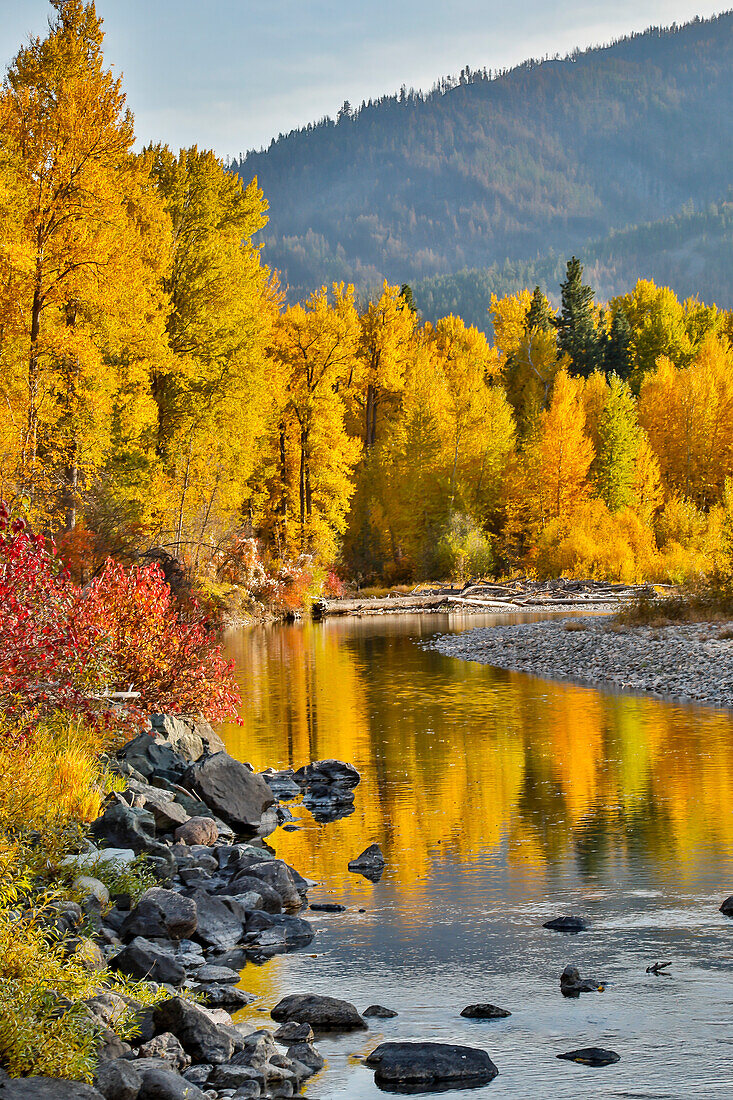 USA, Bundesstaat Washington, Methow Valley und Fluss, gesäumt von herbstlich gefärbten Bäumen.