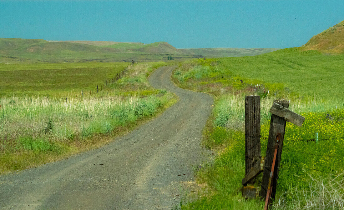 USA, Washington State, Eastern Washington near Benge and curved gravel road