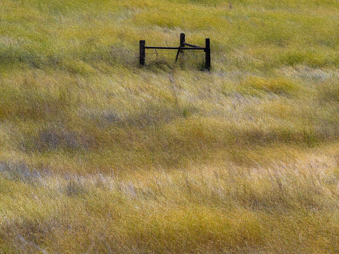 USA, Bundesstaat Washington, Palouse mit hölzernen Zaunpfählen in einem Grasfeld