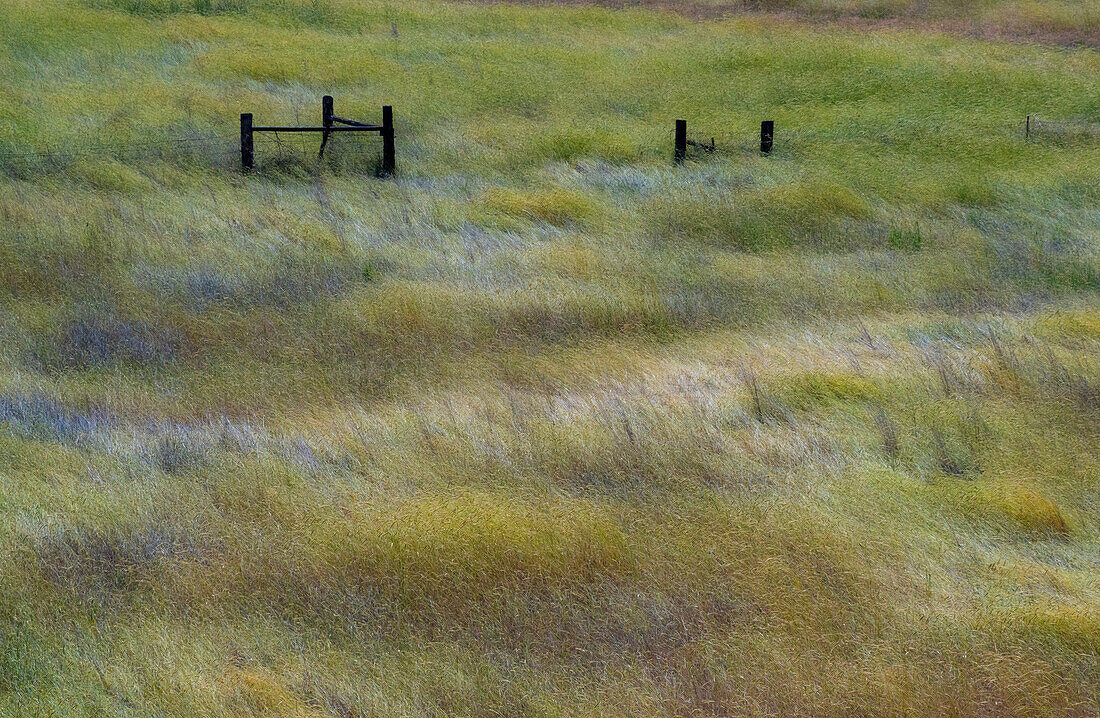 USA, Bundesstaat Washington, Palouse mit hölzernen Zaunpfählen in einem Grasfeld