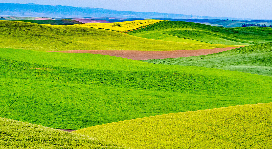USA, Washington State, Palouse overview of wheat fields from above