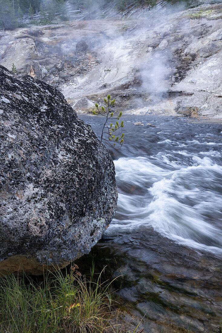 USA, Wyoming. Thermal runoff, rapids, and boulder on the Madison River, Yellowstone National Park.