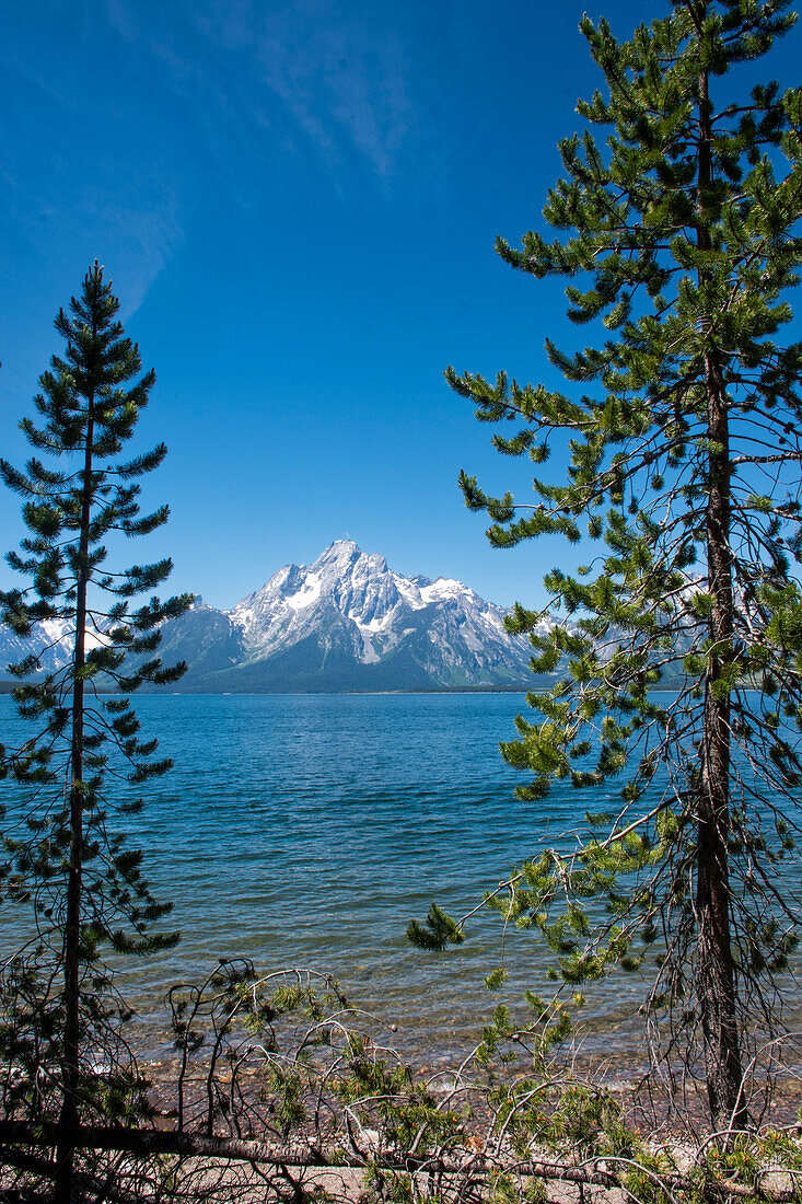 Lakeshore Trail, Colter Bay, Grand Tetons National Park, Wyoming, USA