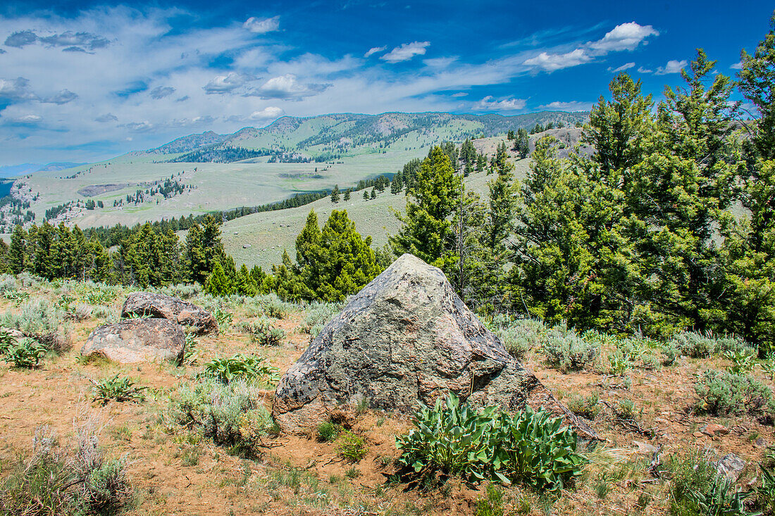 Picknickplatz am Yellowstone River, Yellowstone National Park, Wyoming, USA