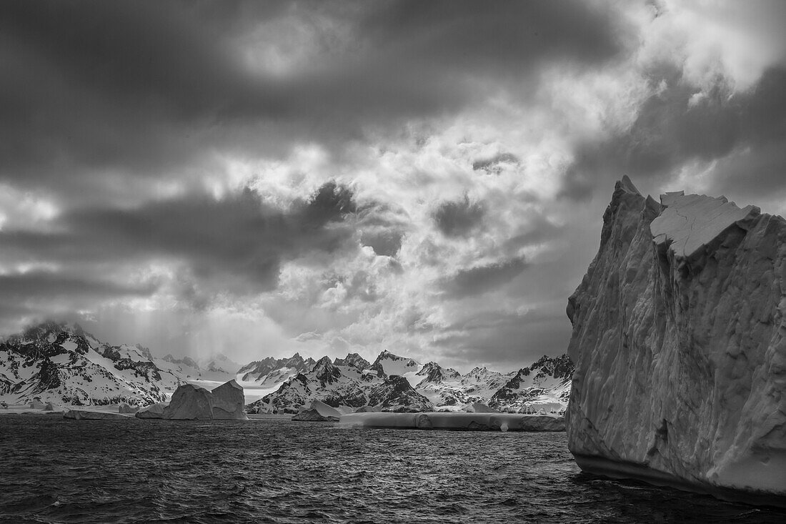 South Georgia Island. Black and white Landscape of iceberg floating in the Atlantic and mountain scenery.