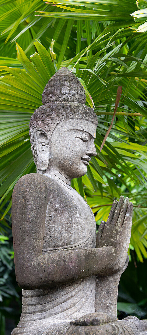 Indonesia, Bali. Buddha statue with green palms.