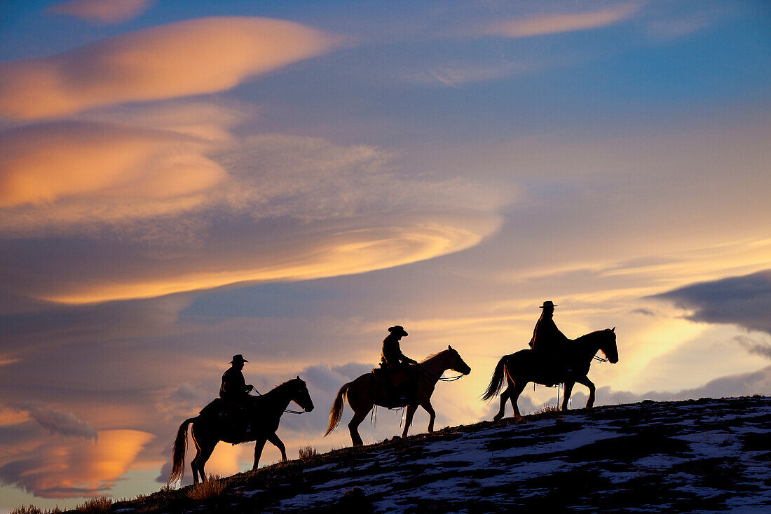 USA, Shell, Wyoming. Hideout Ranch cowboys and cowgirls silhouetted against sunset riding on ridgeline. (PR,MR)