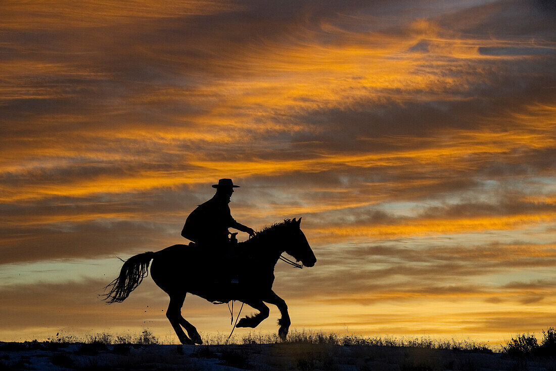 USA, Shell, Wyoming. Hideout Ranch cowgirl silhouetted on horseback at sunset. (PR,MR)