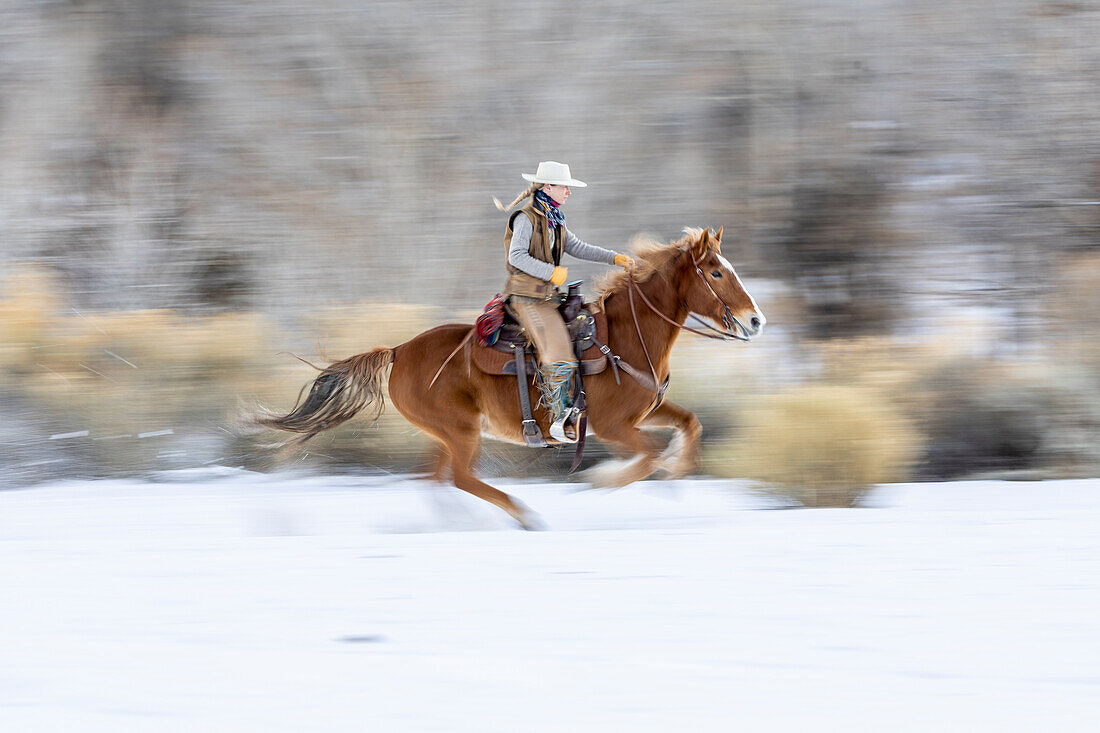 USA, Wyoming. Hideout Horse Ranch, Wrangler auf dem Rücken eines Pferdes im Schnee (MR,PR)