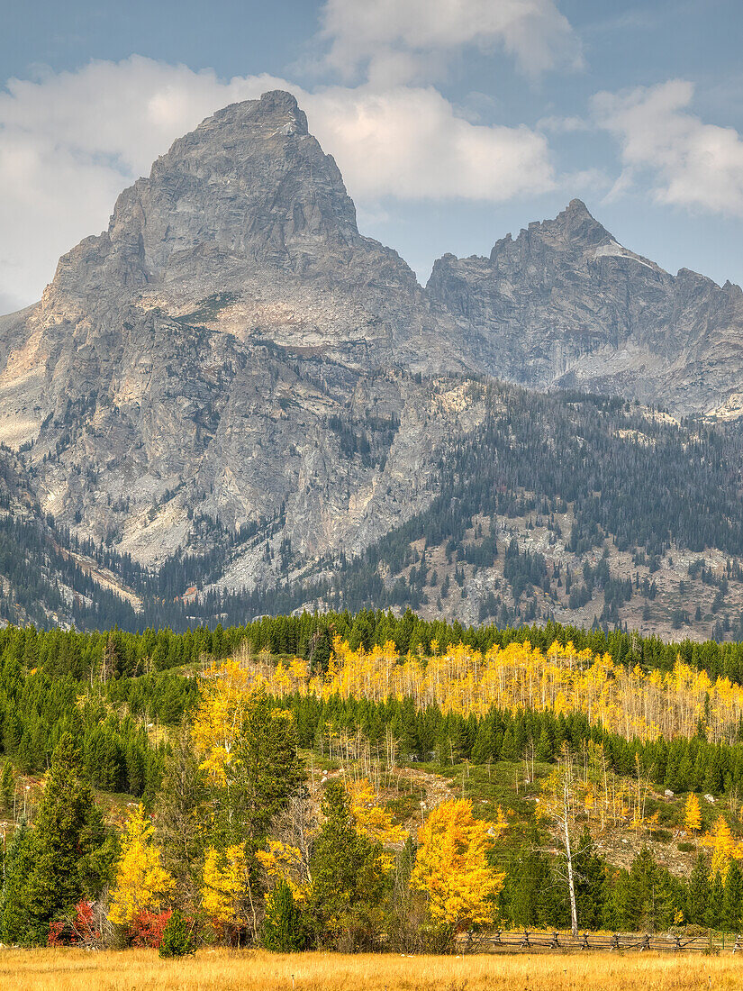 Wyoming, Grand Teton National Park. Teton Range with Grand Teton and golden Aspen trees