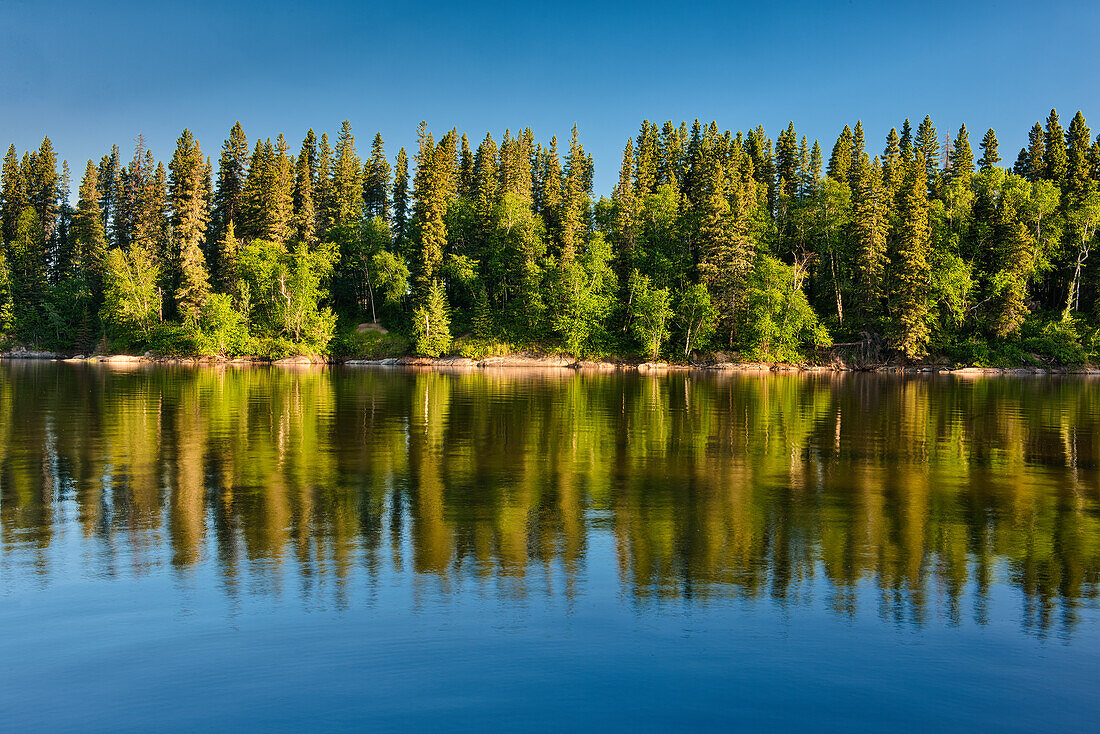 Kanada, Manitoba, Paint Lake Provincial Park. Waldreflexionen auf dem Paint Lake.