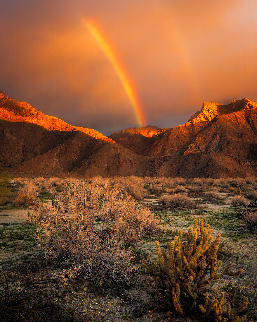 USA, Kalifornien, Anza-Borrego Desert State Park. Regenbogen über Wüstenbergen bei Sonnenaufgang.