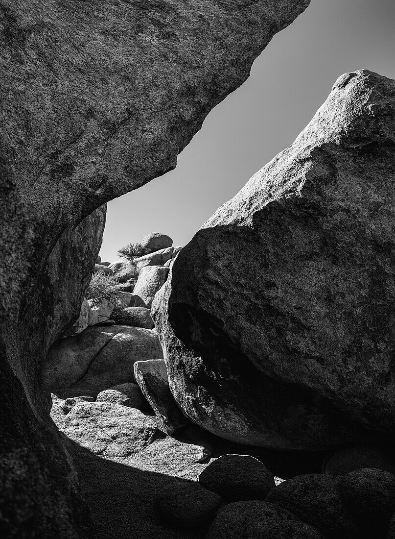 Granitbaum-Nationalpark, Kalifornien