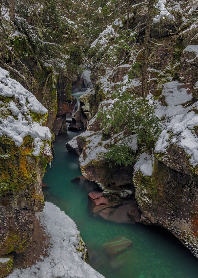 Avalanche Creek Gorge im Winter im Glacier National Park, Montana, USA