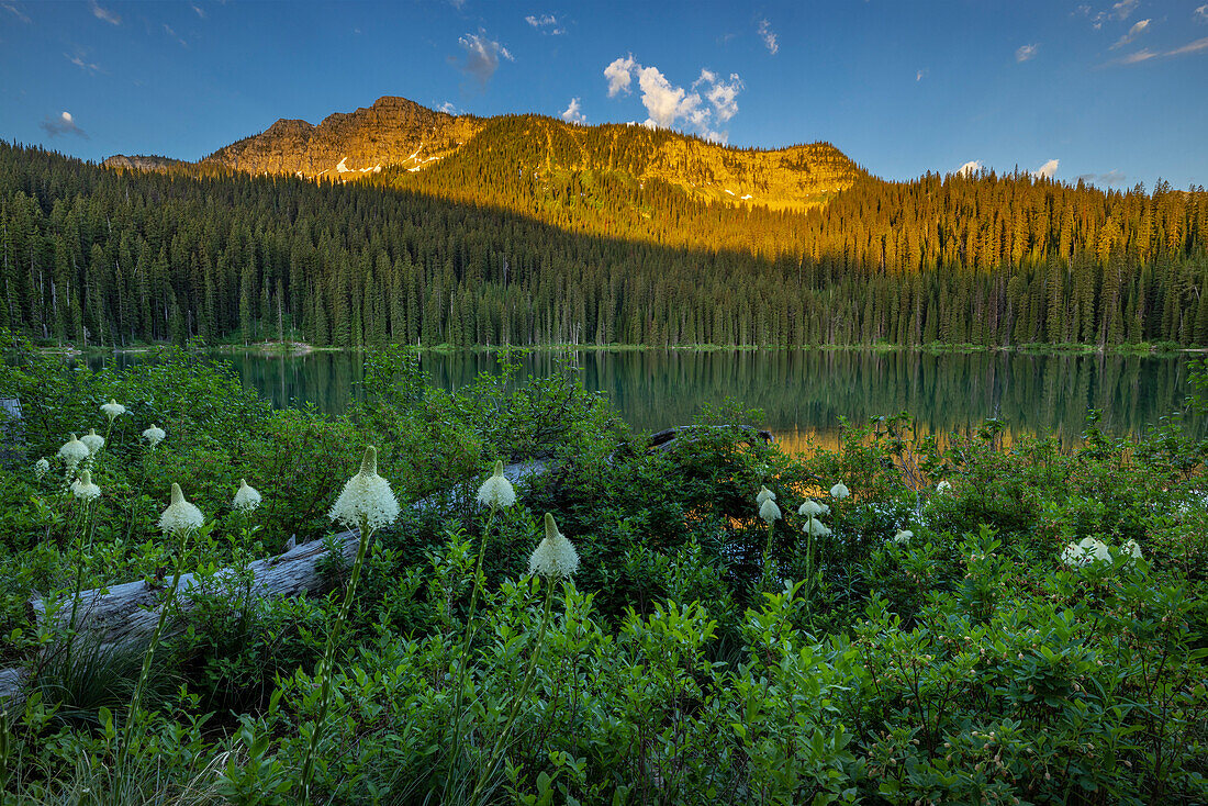 Beargrass und Little Therriault Lake bei Sonnenaufgang in der Ten Lakes Scenic Area im Kootenai National Forest, Montana, USA