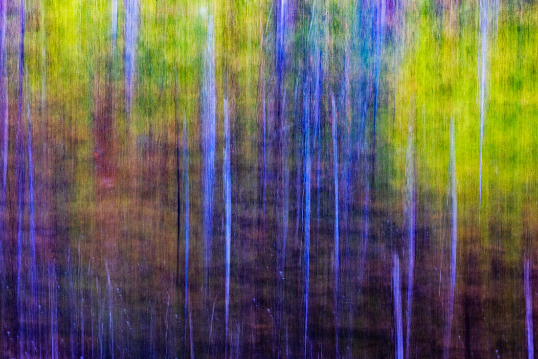 Herbstliche Spiegelungen im Lost Lake im Glacier National Park, Montana, USA