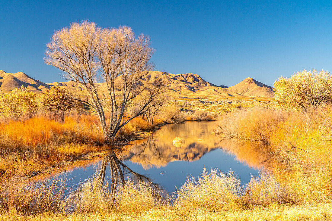 USA, New Mexico, Bosque Del Apache National Wildlife Refuge. Landscape with pond and mountains.