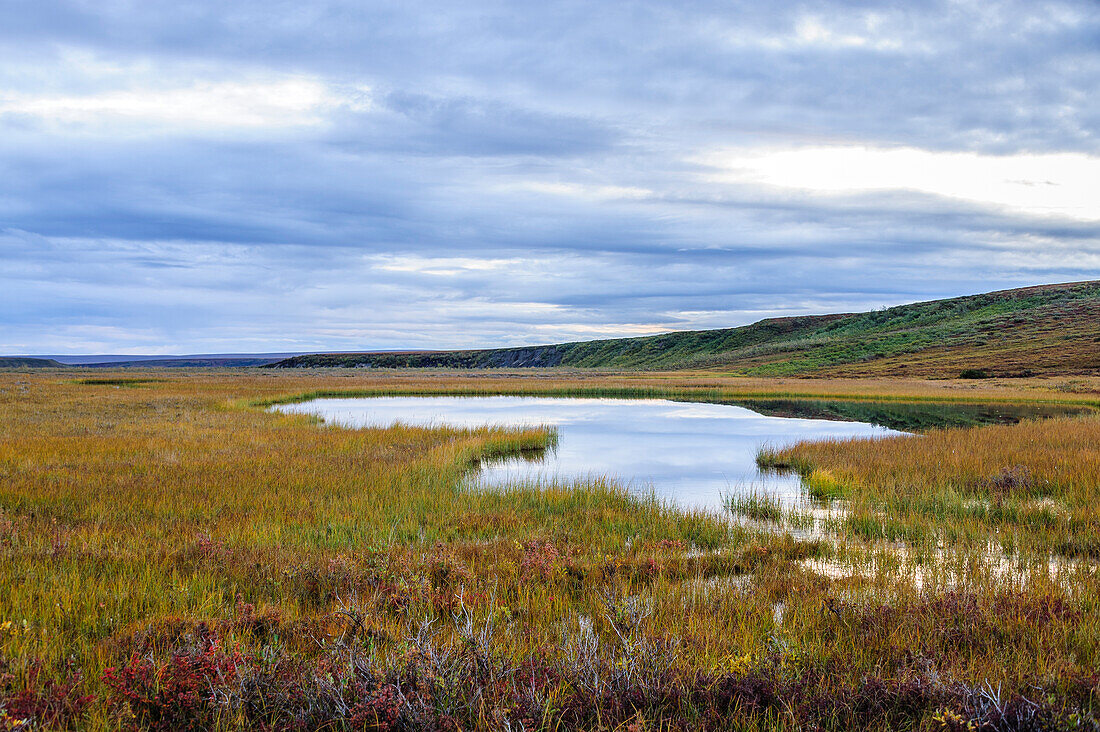 USA, Alaska, Noatak National Preserve. Feuchtgebiete in der arktischen Tundra.
