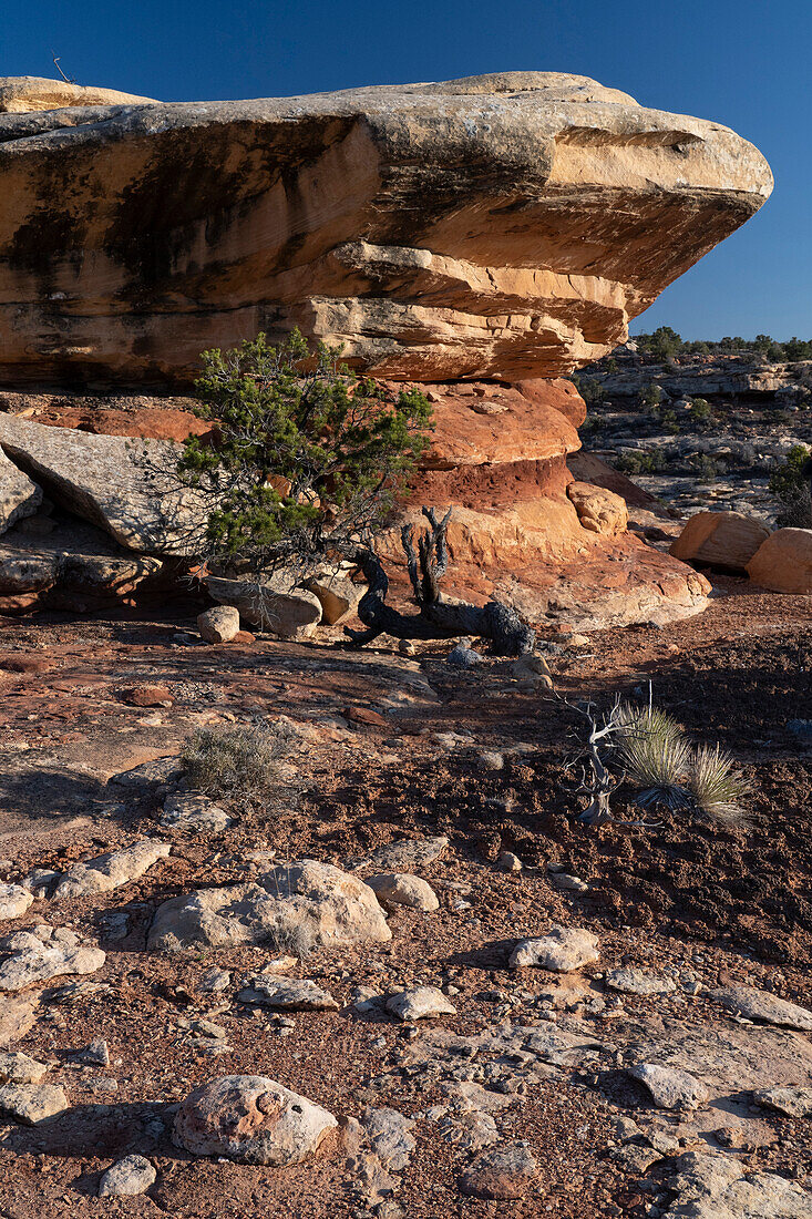 USA, Utah. Geologische Formationen in der Nähe der Caprock Ruin, Cedar Mesa, Bears Ears National Monument.