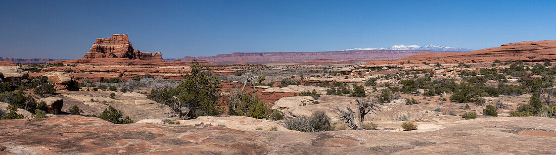USA, Utah. Blick vom Wooden Shoe Arch, Canyonlands National Park, Needles District.