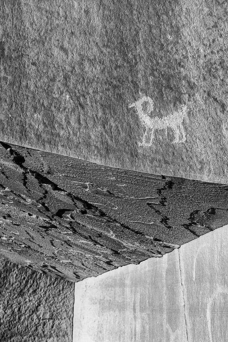USA, Utah. Ancient petroglyphs in Kane Creek Canyon, near Moab.