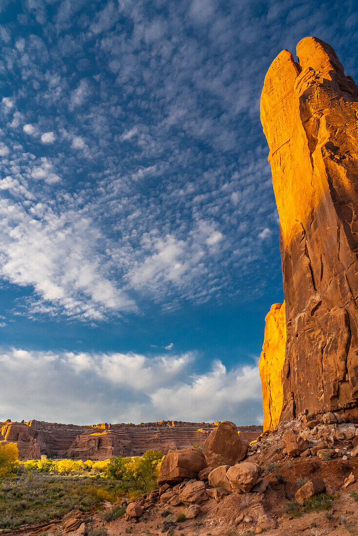 USA, Utah. Cliffs, clouds, and autumn cottonwoods at sunset, Arches National Park