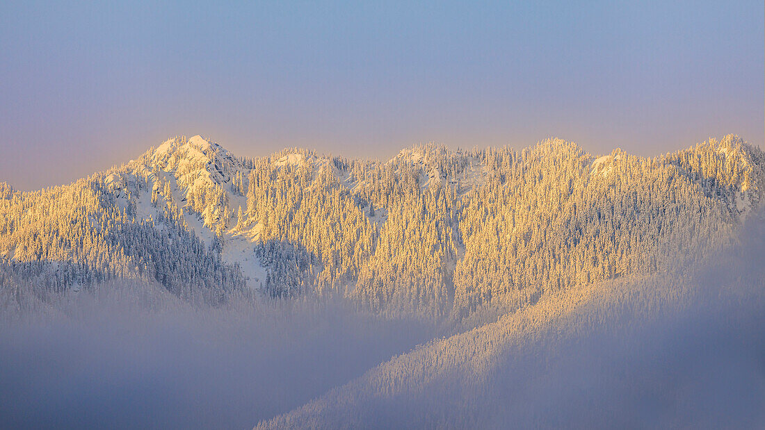 USA, Bundesstaat Washington. Sonnenaufgang über schneebedeckten Bergen im Olympic National Forest.