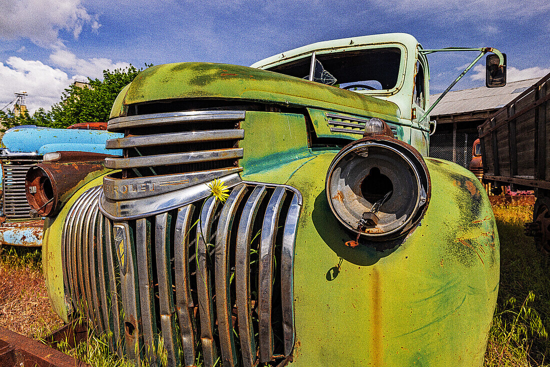 Rusty old trucks at Dave's Old Truck Rescue in Sprague, Washington State, USA