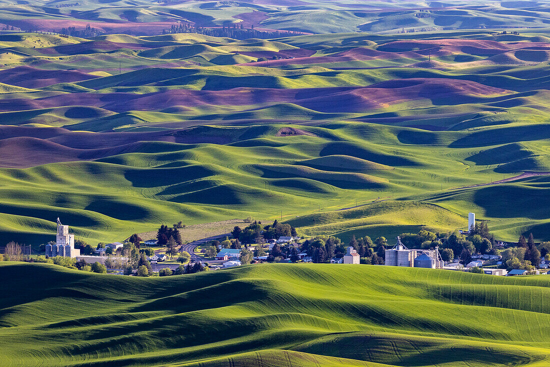 Kleinstadt Steptoe von Steptoe Butte bei Colfax, Bundesstaat Washington, USA