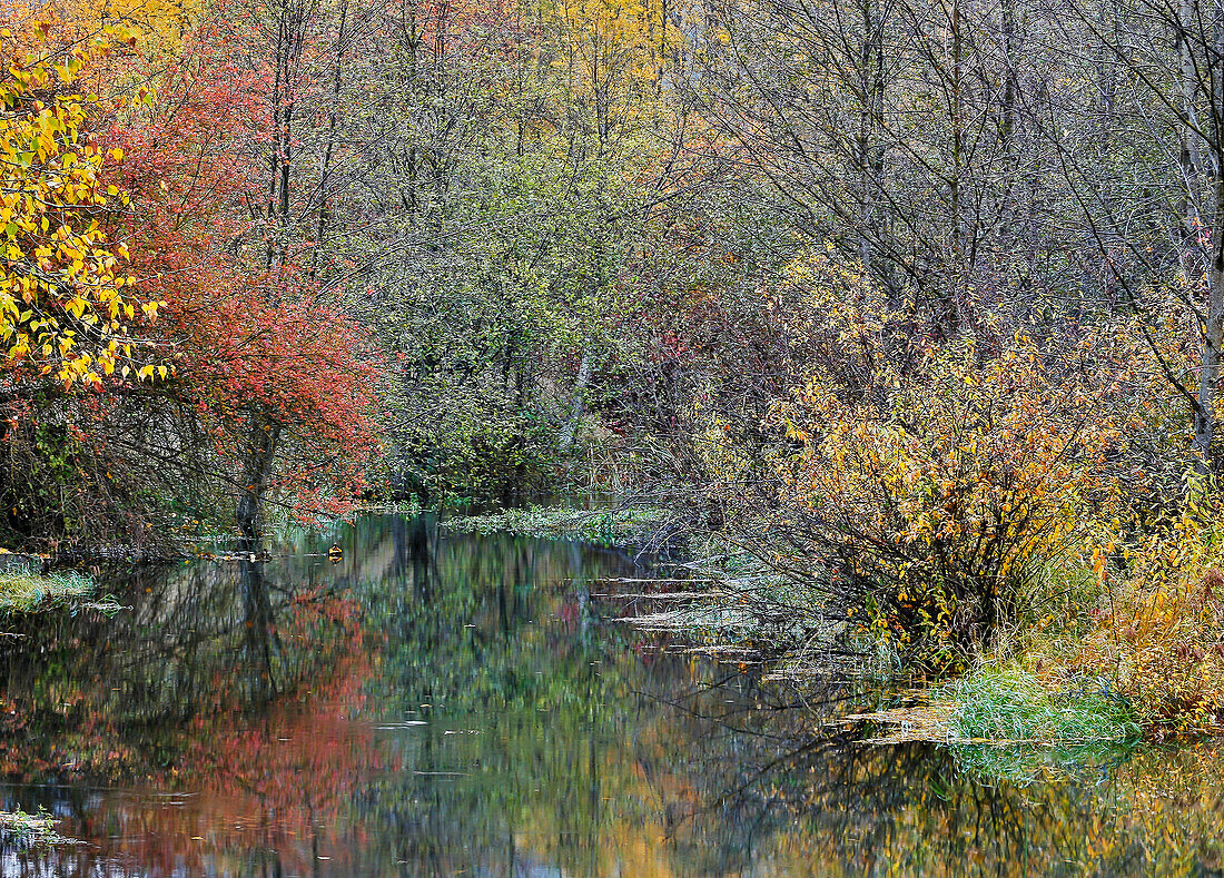 USA, Bundesstaat Washington, Easton und Washington Cascades Wasserweg vor dem Yakima River in Herbstfarbe