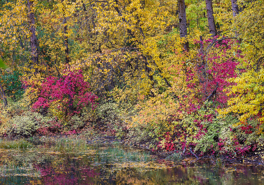 USA, Washington State, small pond near Easton surrounded by fall colored trees