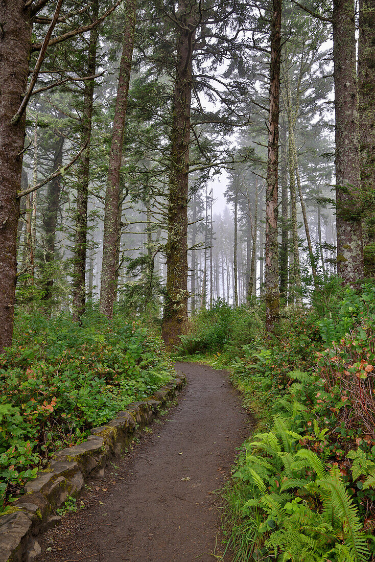 Usa, Oregon, Yachats. Kap Perpetua